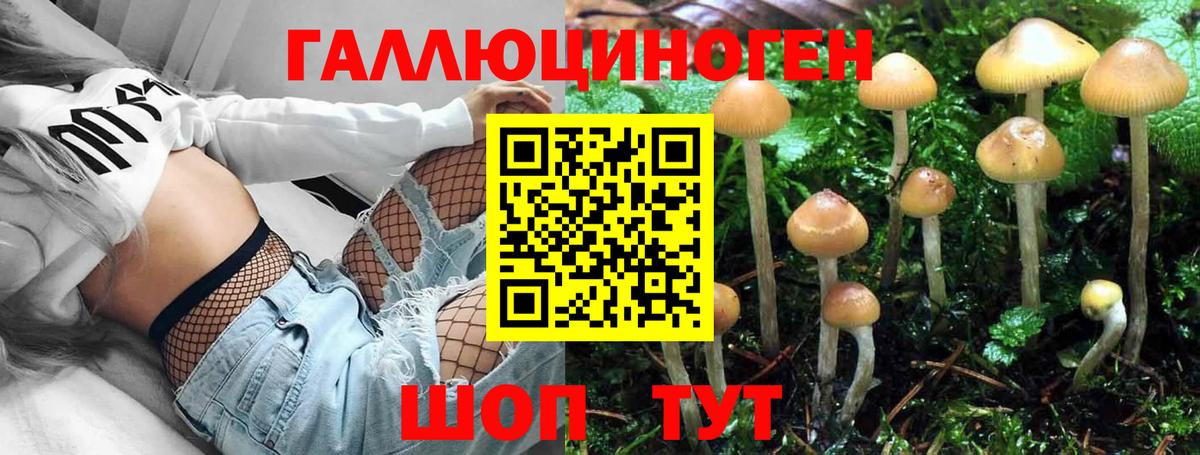Чита  Псилоцибиновые грибы мицелий  Галлюциногенные грибы MAGIC MUSHROOMS  Вход с VPN 