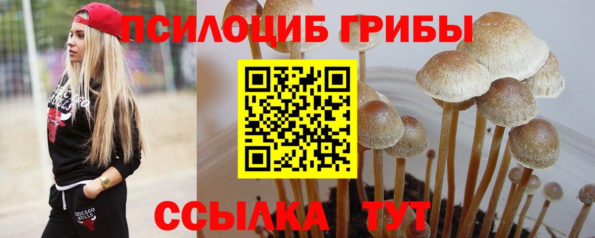 Галлюциногенные грибы мицелий Чита